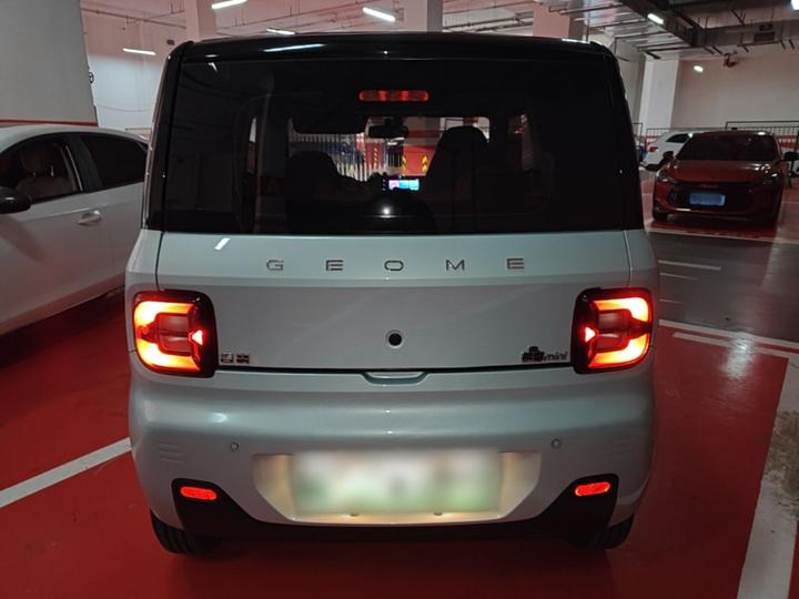 2024 200km Panda photo 5