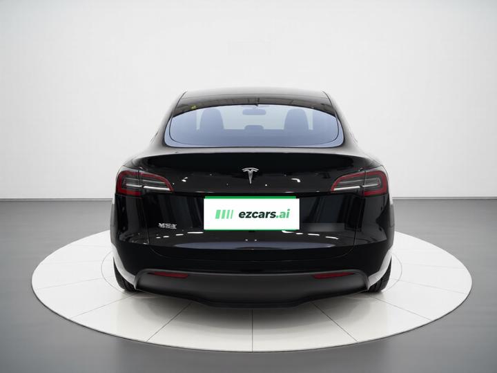 Model Y 2021 Long Range AWD photo 3