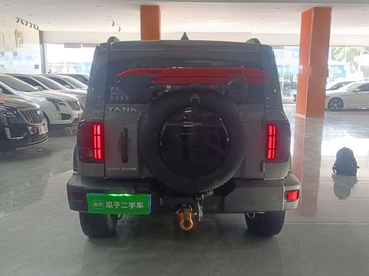 300 2021 Off-road 2.0T Conqueror photo 3
