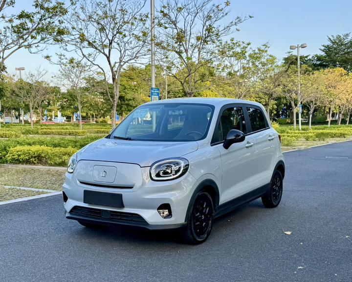 Leapmotor T03 2023 310
