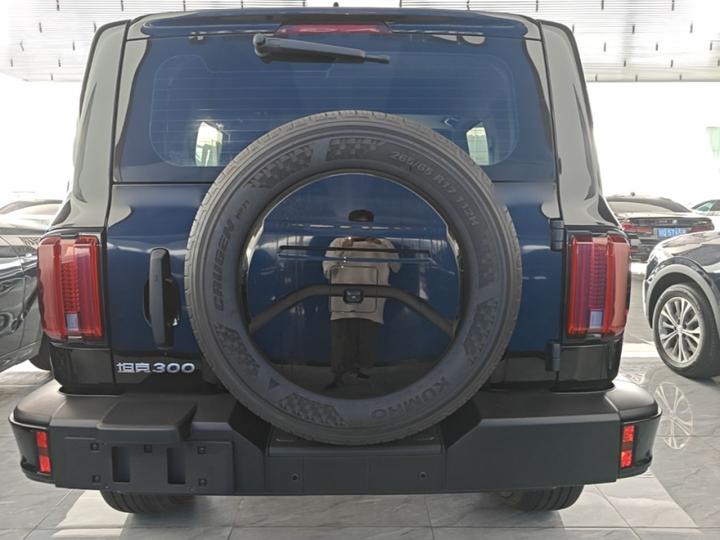 300 2023 Off-road 2.0T Conqueror photo 3