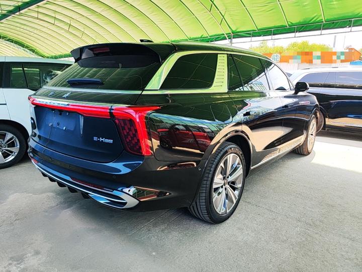 E-HS9 2022 690km 6-Seater photo 4