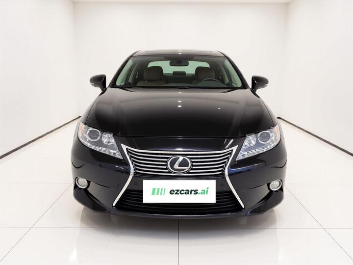 ES 2014 250 Elite photo 2