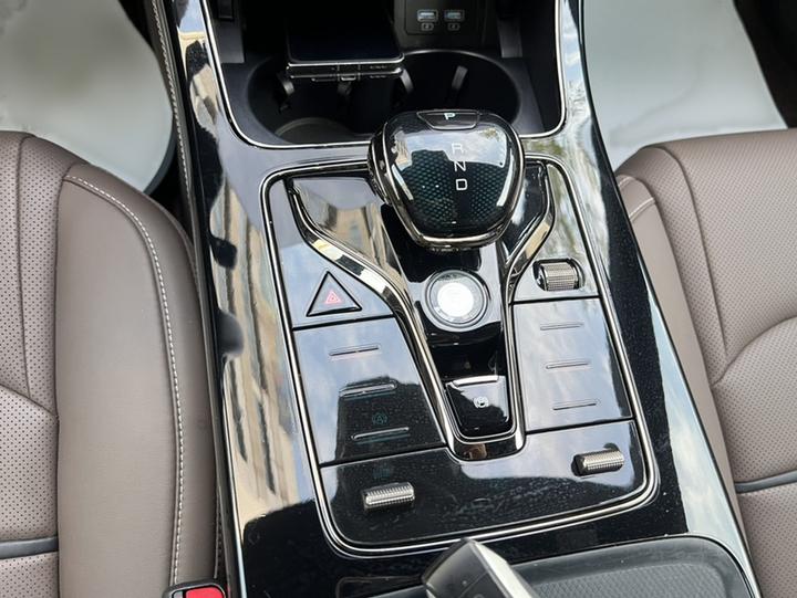 Han 2021 EV Standard Range Luxury photo 5