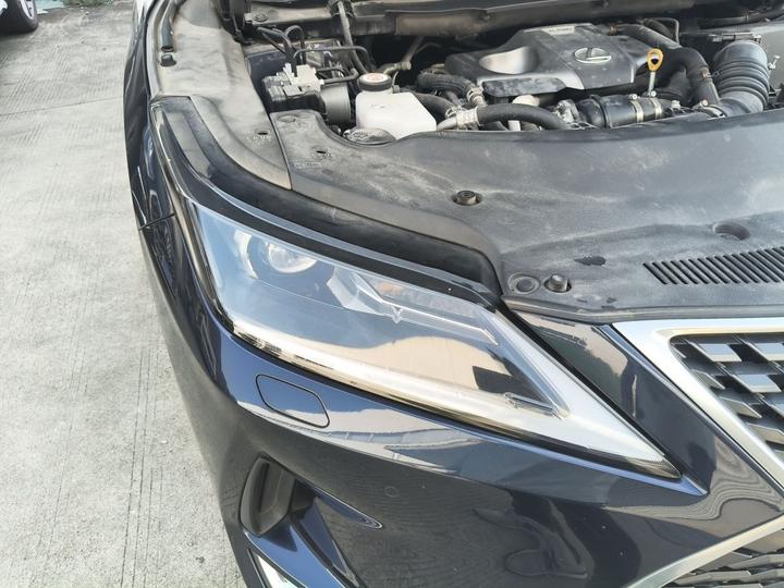 RX 2020 Facelift 300 RWD Elite photo 7
