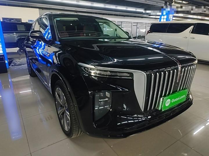 E-HS9 2021 460km 6-Seater photo 3