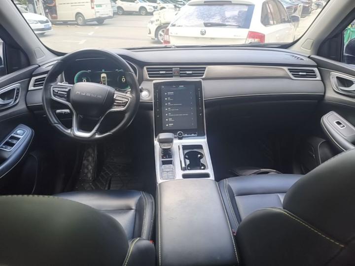 RX5 EV 2020 ePLUS Luxury photo 5