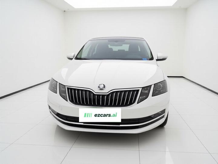 Octavia 2019 TSI230 DSG Luxury China V photo 2