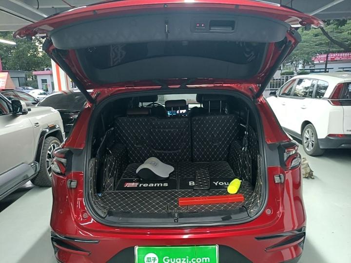 Tang EV 2021 DM 2.0T AWD Performance Premium photo 8