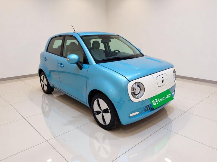 2022 Facelift 301km LFP photo 3