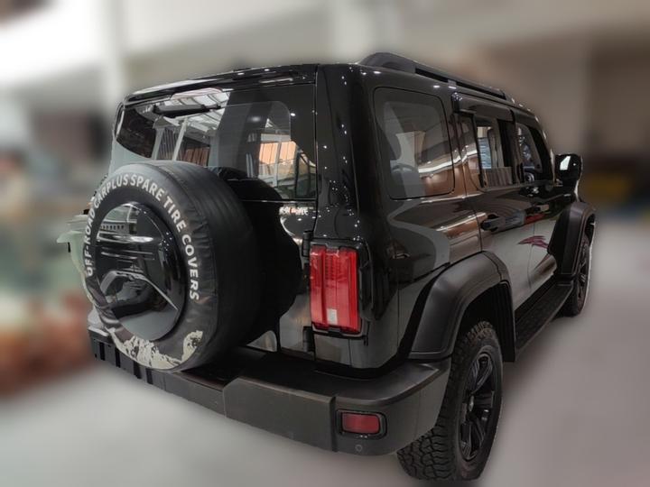 300 2021 Off-road 2.0T Conqueror photo 4
