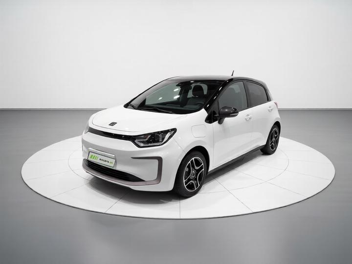 Sehol Flower Fairy 2021 302km Fashion 31.4kWh