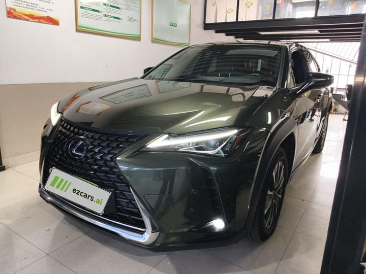 UX EV 2020 300e