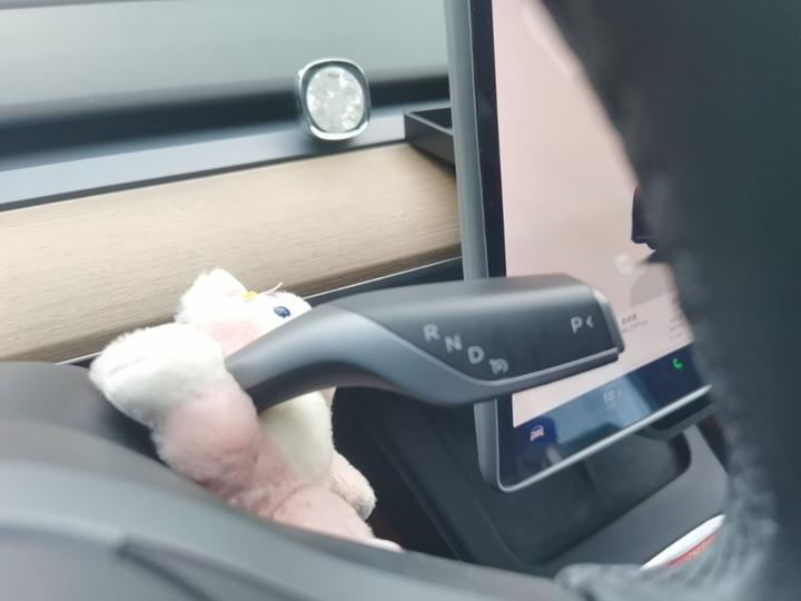 Model Y 2022 RWD photo 6