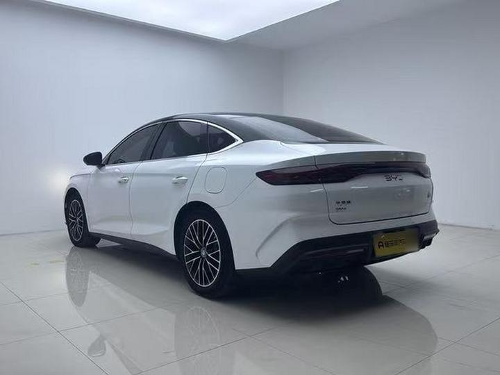 Qin L 2024 DM-i 120KM Excellence photo 6