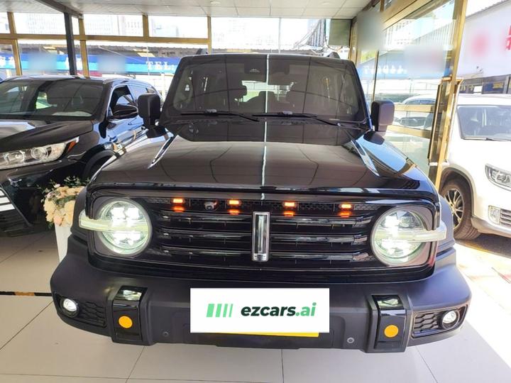300 2021 Off-road 2.0T Conqueror photo 2