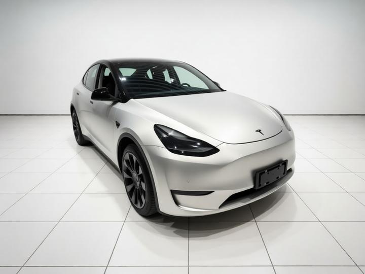Model Y 2021 Standard Range RWD photo 3