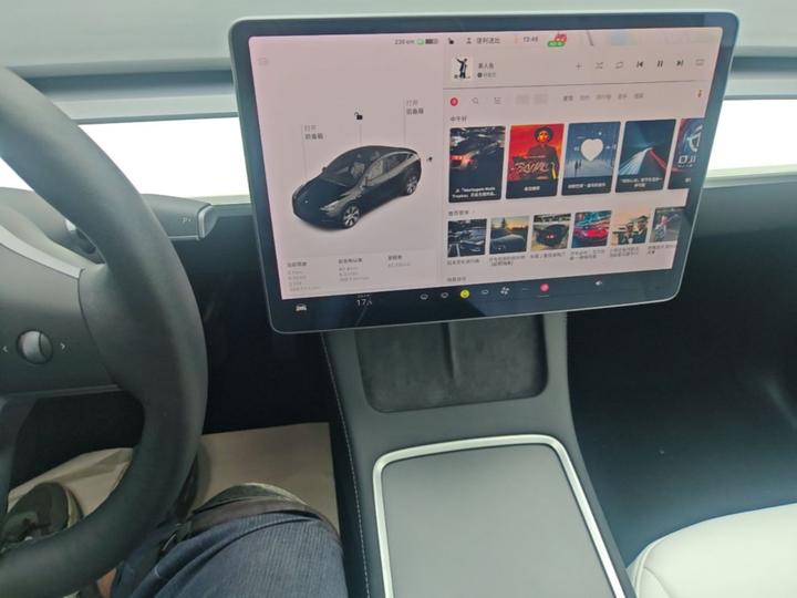 Model Y 2021 Standard Range RWD photo 8