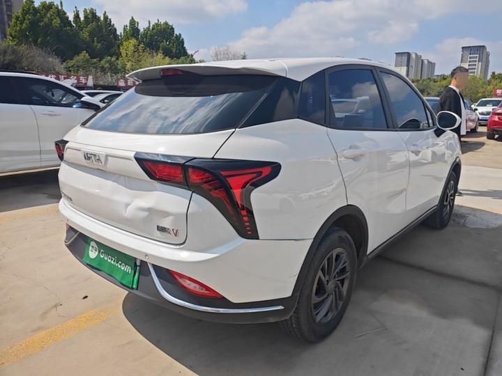 Neta V 2022 300 Lite LFP photo 4