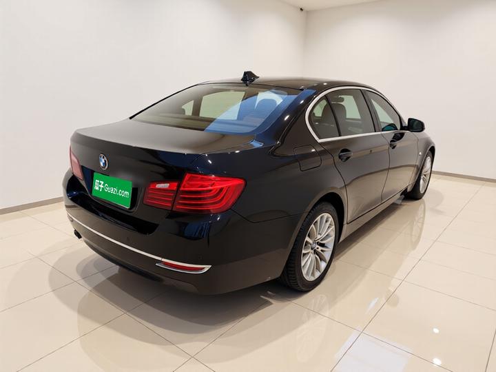 5 Series 2014 525Li Luxury Design Package photo 6