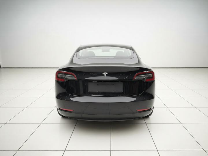 Model 3 2021 Standard Range RWD Upgraded photo 5