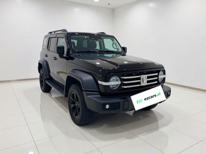 300 2021 Off-road 2.0T Conqueror photo 3