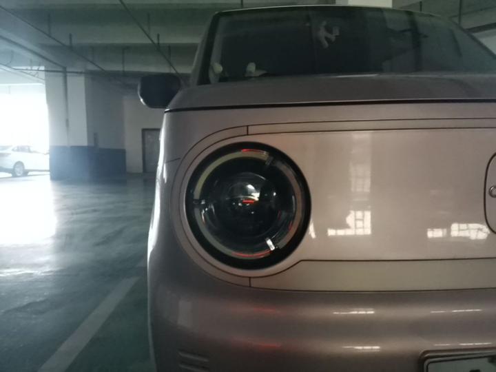 2023 Panda mini 200km Endurance Bear photo 8