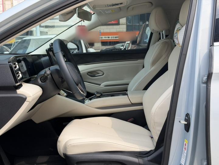 Qin L 2024 DM-i 80KM photo 6
