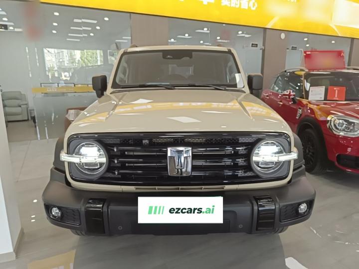300 2025 2.0T Petrol Conqueror photo 2