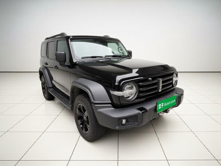 300 2021 Off-road 2.0T Conqueror photo 3