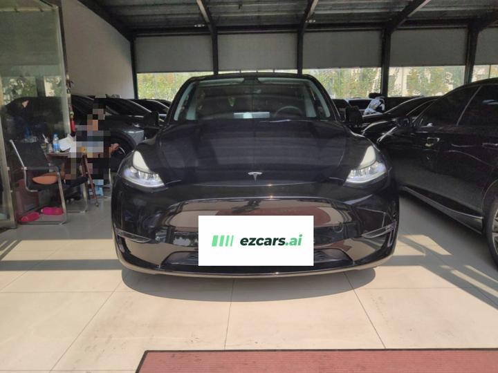Model Y 2021 Standard Range RWD photo 2