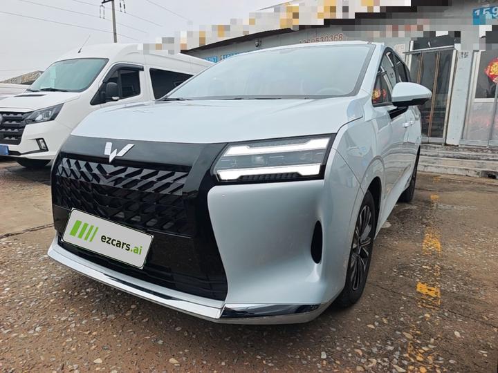 730 EV 2025 125km Luxury