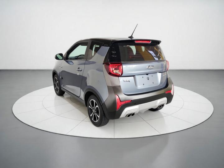 QQ Little Ant 2021 15 LFP photo 4