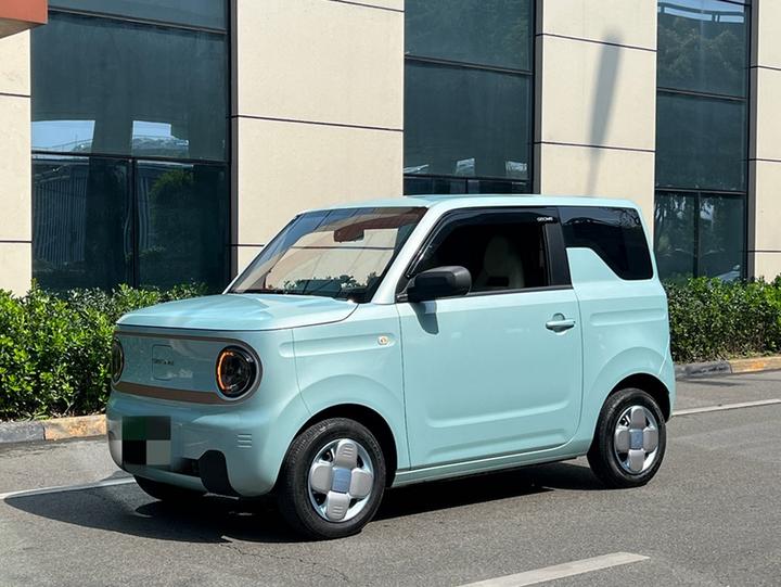 2023 Panda mini 200km Endurance Bear