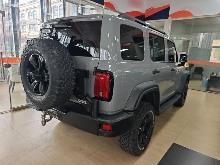 300 2021 Off-road 2.0T photo 6