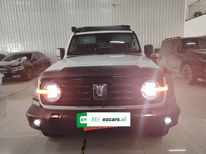 300 EV 2025 Hi4-T 37.1kWh photo 2