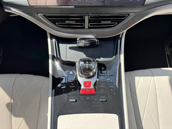 D9 2024 DM-i 980 AWD Noble photo 7