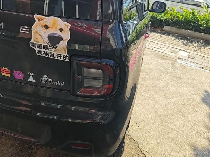 2023 Panda mini 200km Endurance Bear photo 7