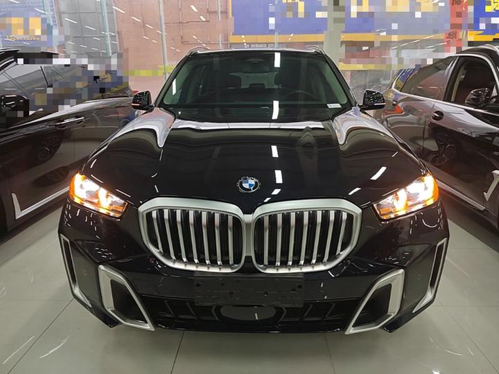 X5 2023 xDrive 30Li M Sport Package photo 2