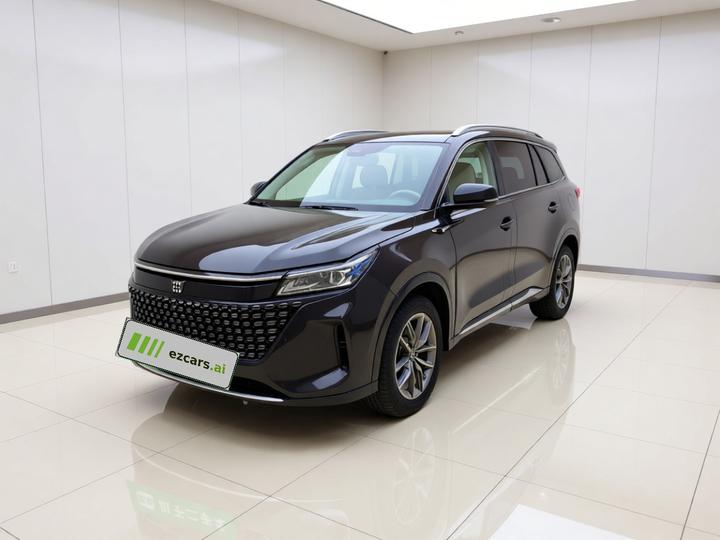 Bluelectric E5 2024 Honor 100KM Exclusive 7-Seater