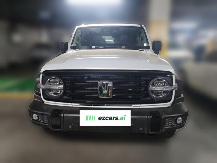 300 2021 Off-road 2.0T Conqueror photo 2