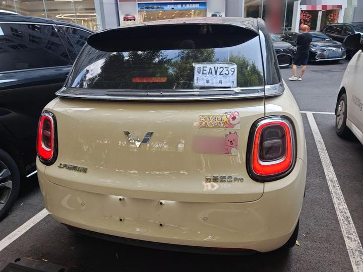 Bingo Pro 2026 330km Exclusive photo 5