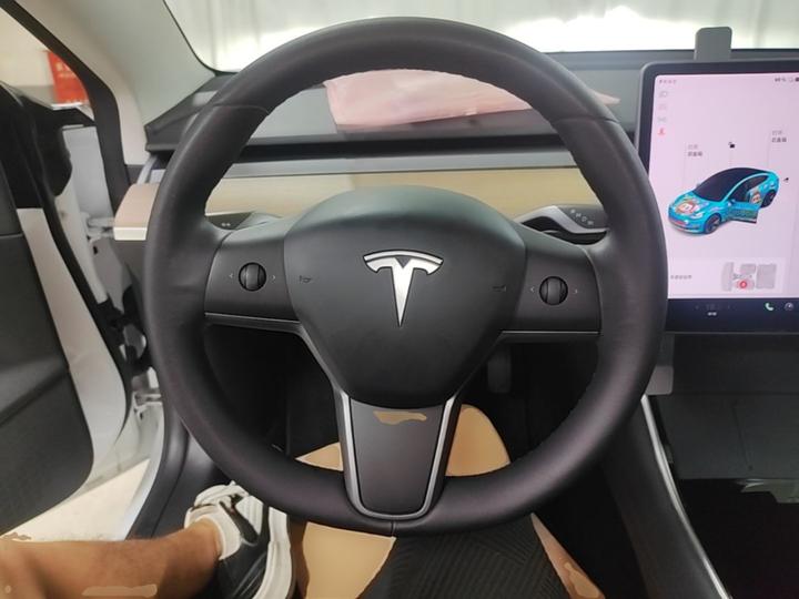 Model 3 2020 Facelift Long Range RWD photo 6