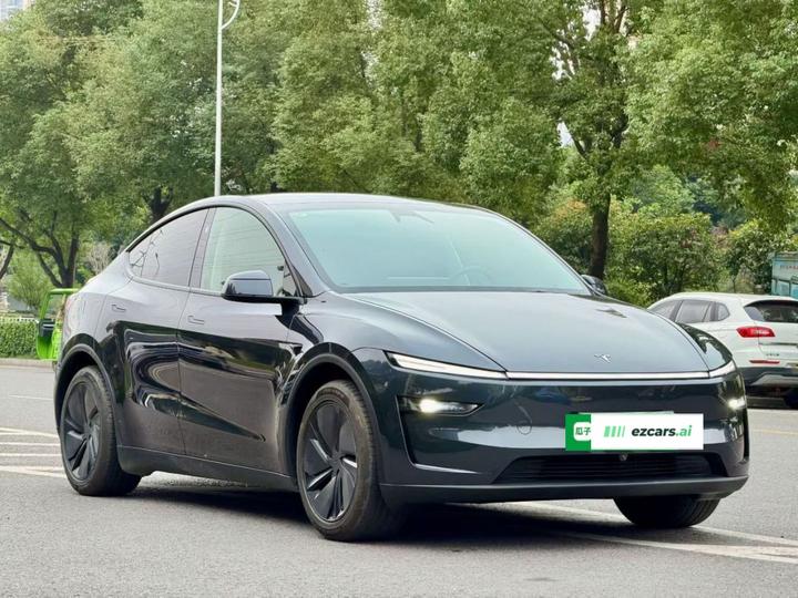 Model Y 2025 Long Range AWD photo 3