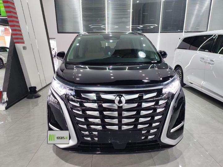 D9 2024 DM-i 980 AWD Premium photo 2