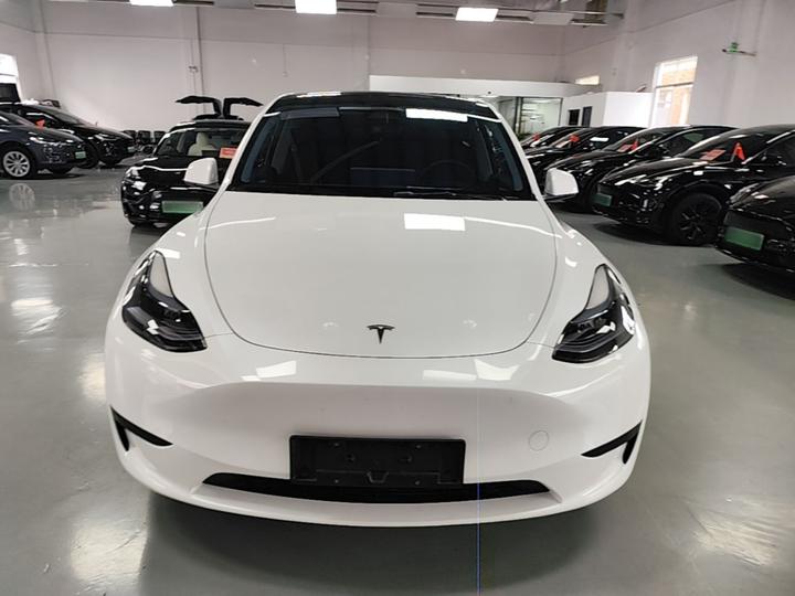 Model Y 2024 RWD photo 2