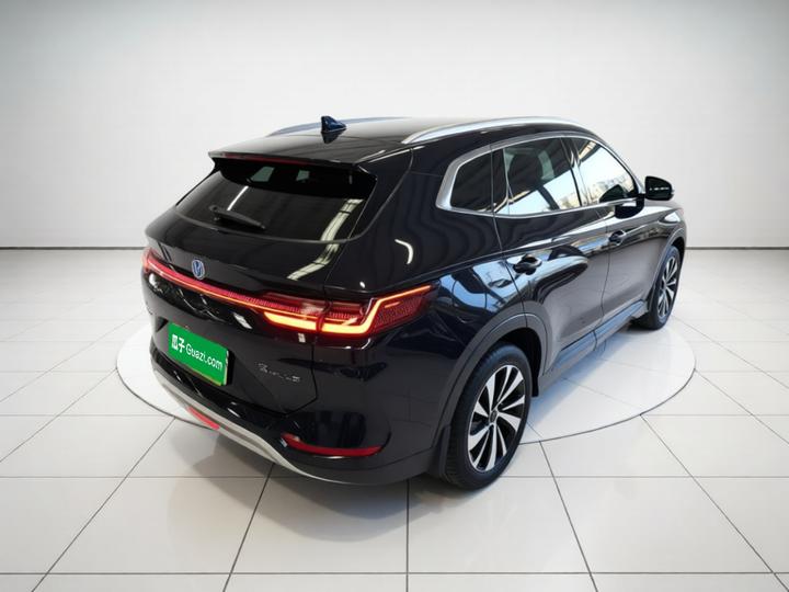 Song PLUS EV 2023 Champion DM-i 110KM Flagship photo 6