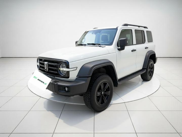300 2021 Off-road 2.0T