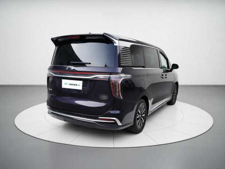 HQ9 PHEV 2024 2.0T AWD Business photo 6