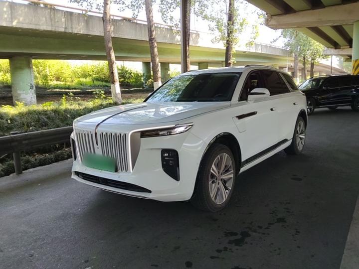 E-HS9 2021 460km 6-Seater